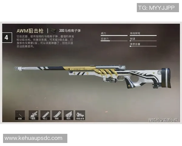 电竞传奇张强专访回顾和平精英的辉煌历程与未来展望